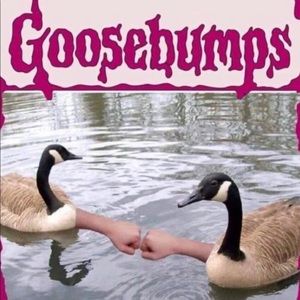 Meet your Posher, Jonas